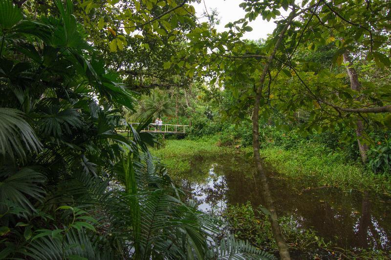 Crocodile Bay Resort Пуерот-Хіменес Екстер'єр фото